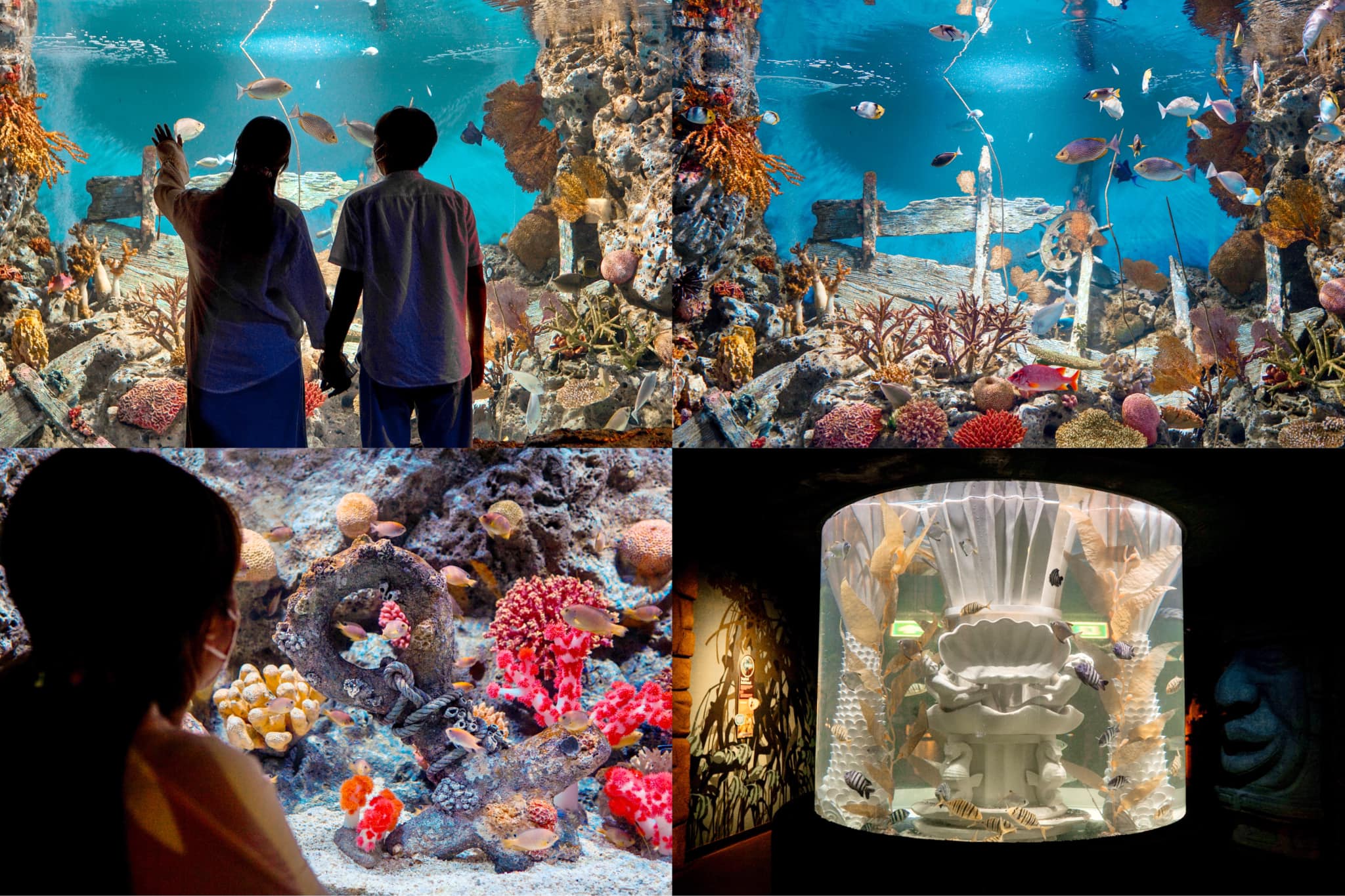 สถานที่เดทวาเลนไทน์ SEA LIFE Bangkok Ocean World  (BTSสยาม)