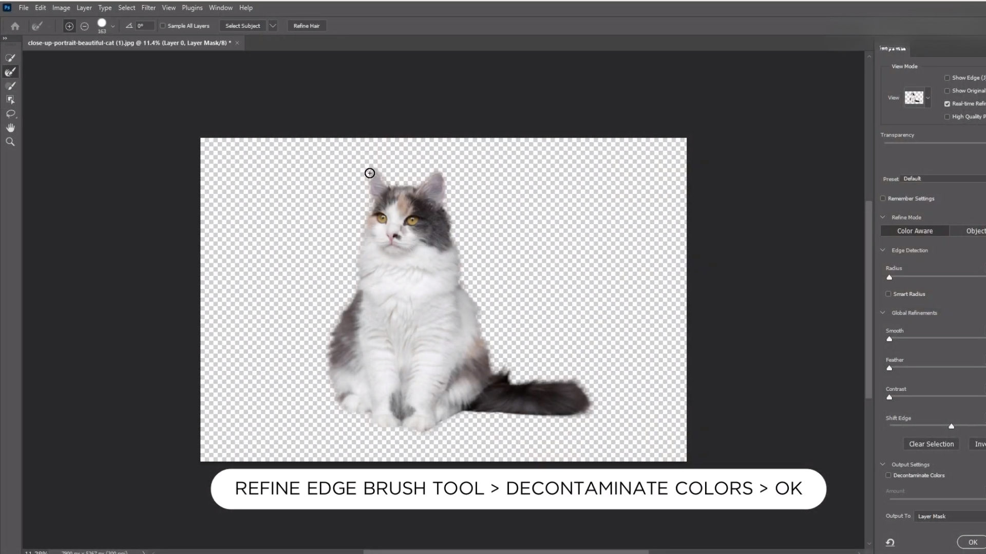 สอนไดคัทขนสัตว์ง่ายๆ ใน 1 นาที ด้วย Canva และ Photoshop มาต่อกันที่ Adobe Photoshop